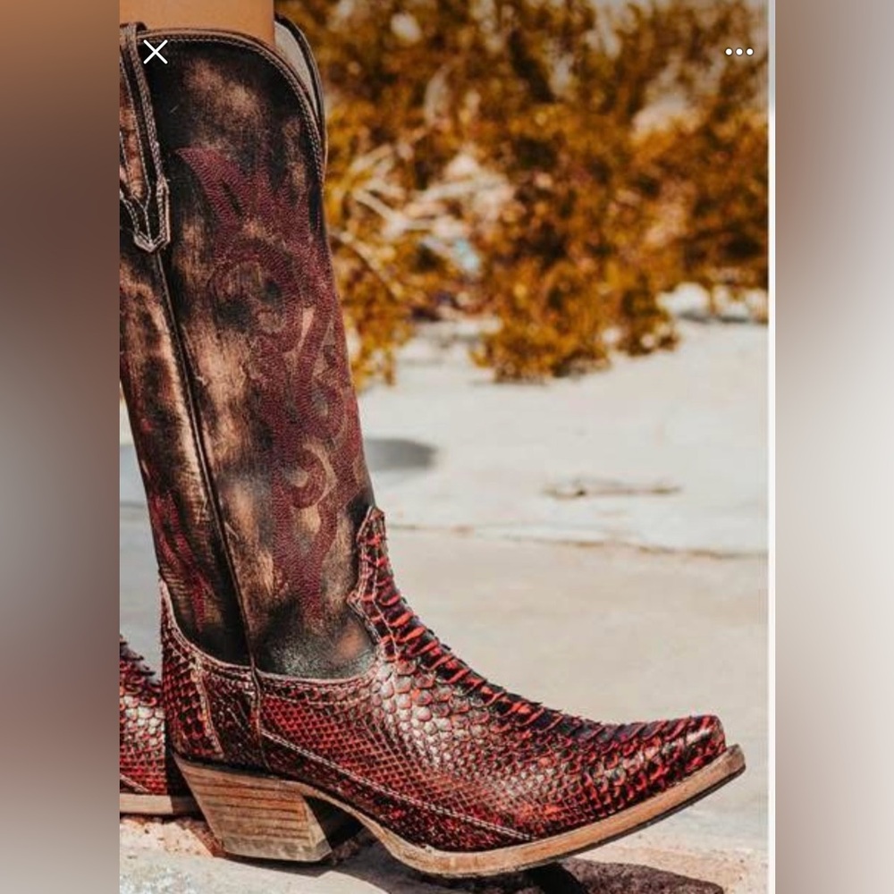 ISO WINE PYTHON FREEBIRD WOODLAND